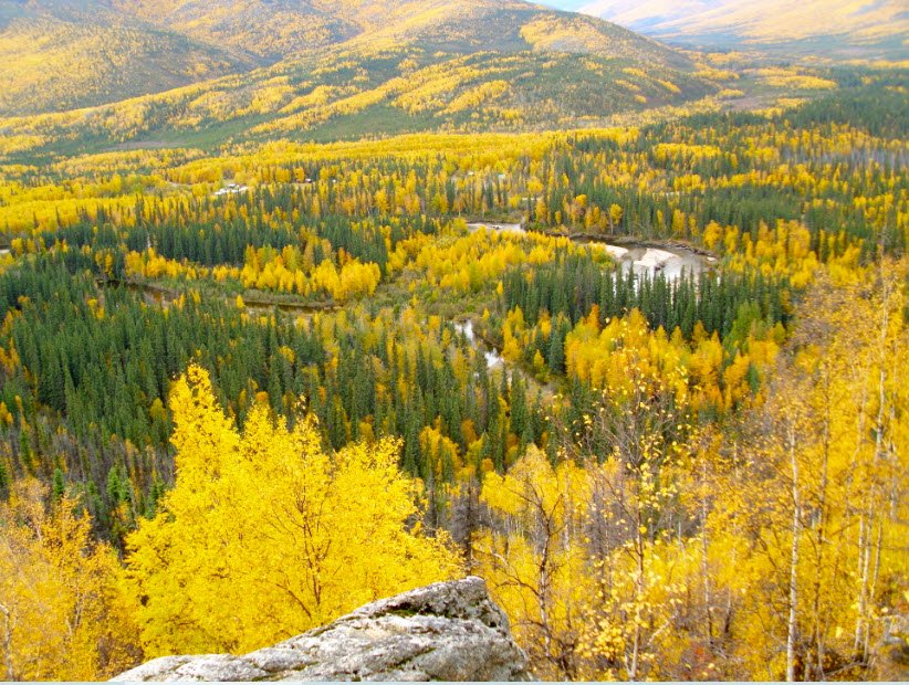 Chena River State Recreation Area, Alaska, USA